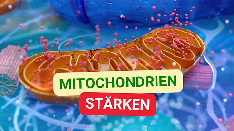 Mitochondrien stärken: Kraftwerke der Zellen effektiv aufbauen