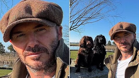 Beckham Enjoys Peaceful Morning with Dogs