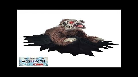 Lunging Mad Dog Animated Halloween Decoration Review