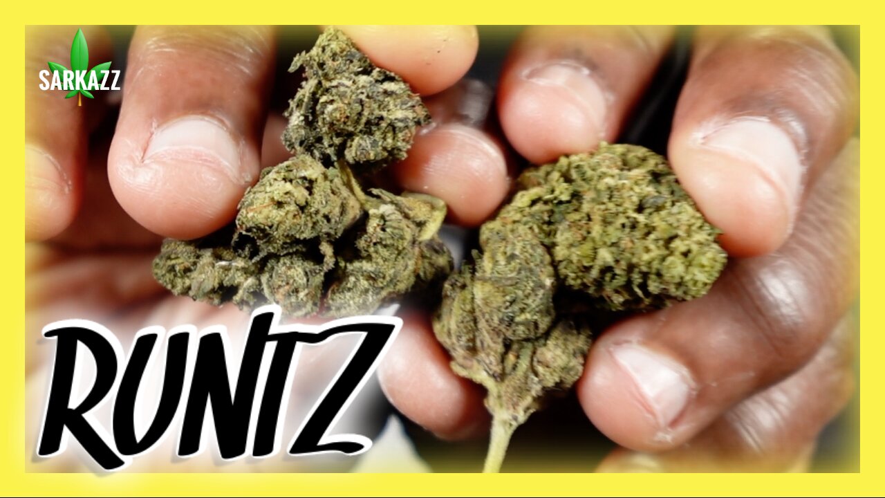 Certified Headies Review: Runtz Strain Packs Flavor & Fire! 🔥💨