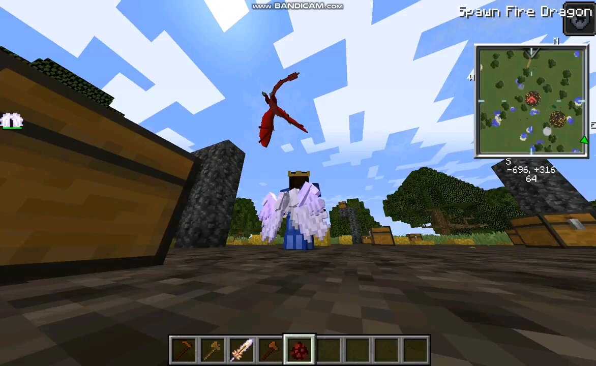 flying with the dragons