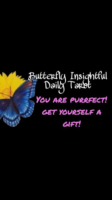 Butterfly Insightful Daily Tarot - you are perfect, get yourself a present!