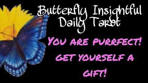 Butterfly Insightful Daily Tarot - you are perfect, get yourself a present!