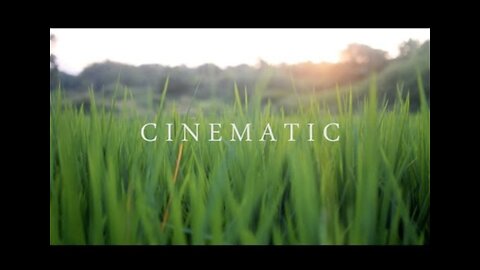 4K NATURE CINEMATOGRAPHY | CINEMATIC BACKGROUND MUSIC