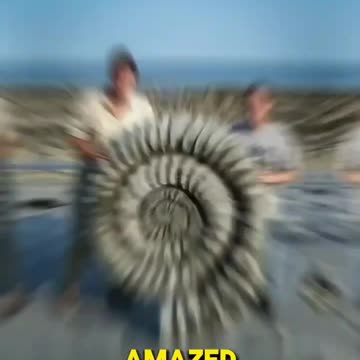 A_student_found_a_mysterious_golden_sphere