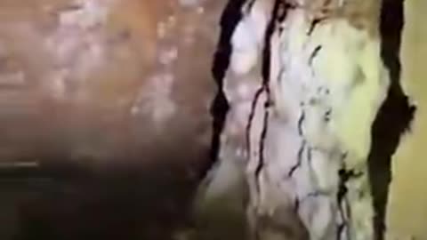 hiker finds tunnel in woods.mp4