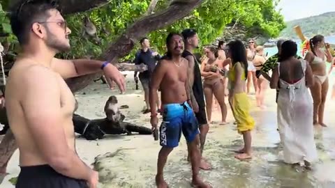 MONKEY BEACH PHI PHI ISLAND 🏝️🏖️