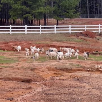 Is there anything scarier than rain?