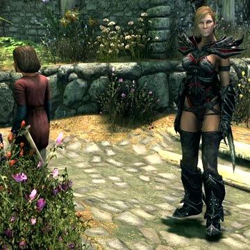 Skyrim - Annoying NPC's