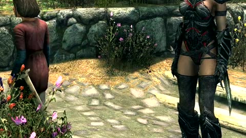 Skyrim - Annoying NPC's