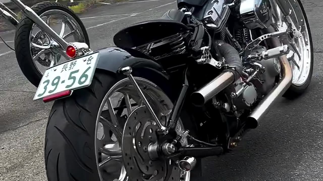 Custom 282