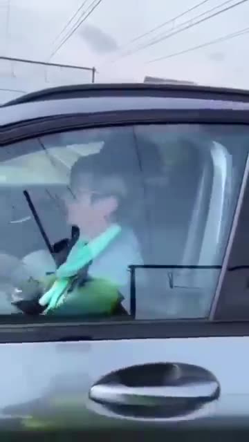 Grandma Paid the Price for Entering a Closed Railway Crossing.mp4