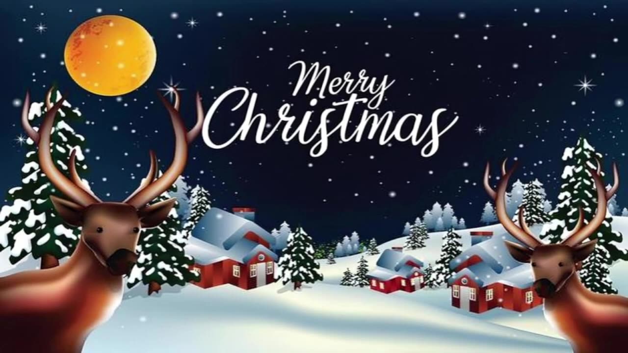 MERRY CHRISTMAS AND HAPPY NEW YEAR! DISCUSSING PLANS FOR 2025, NEXT YEAR WILL BE EVEN CRAZIER...