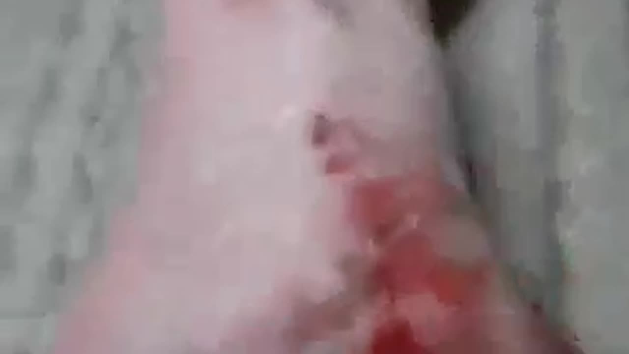 Cyraxx Not YouTube 03-27-25 Goblin foot