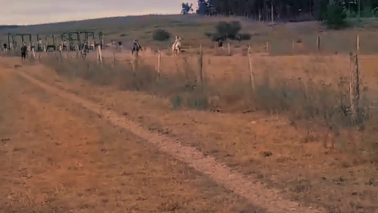 Carrera de caballos en la pista Las Palmeras de Tacuarembó (26/01/2025)