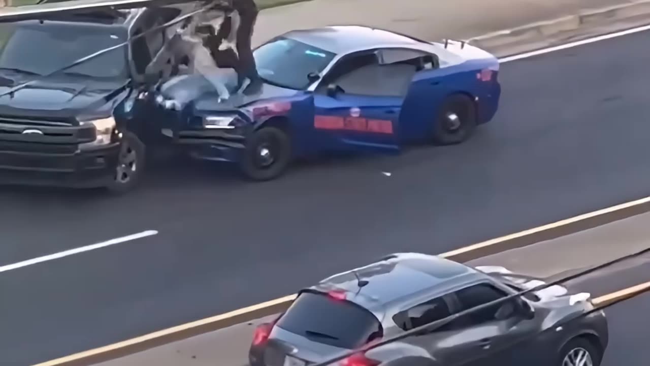 Street Takeover gets taken over by law enforcement