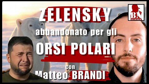 ZELENSKY abbandonato per gi ORSI POLARI | Il Punt🔴 di Vista di MATTEO BRANDI