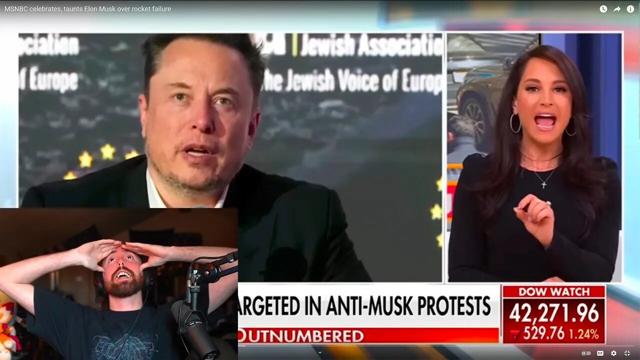 Anti-Elon Crowd Is Insane