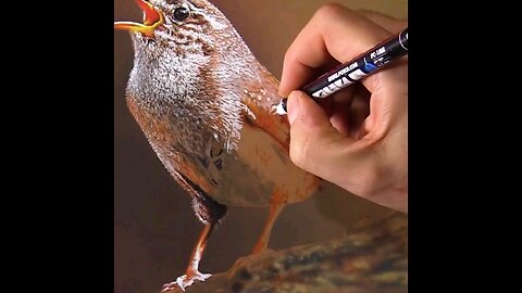 Drawing Realistic ✍️