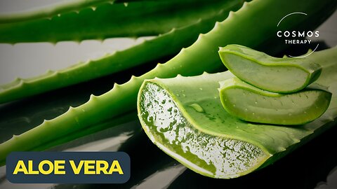 Aloe Vera Nature's Healing Wonder | A Short Documentary | Nature