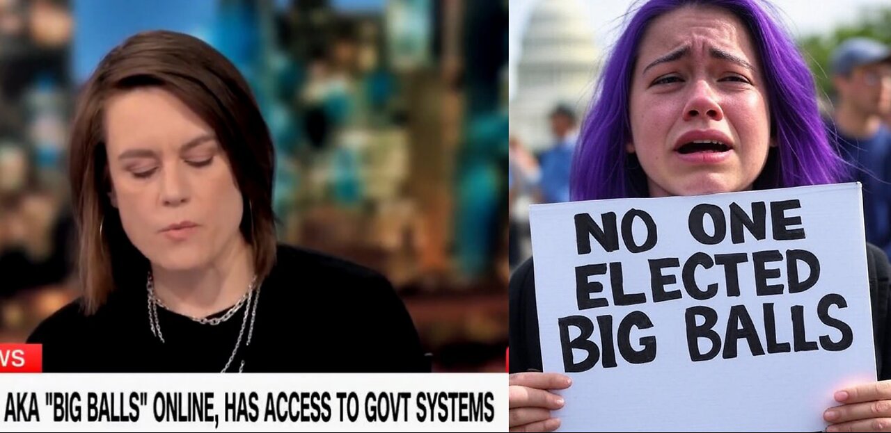 CNN & MSNBC Talk About BIG BALLS DOGE Staffer Live On Air