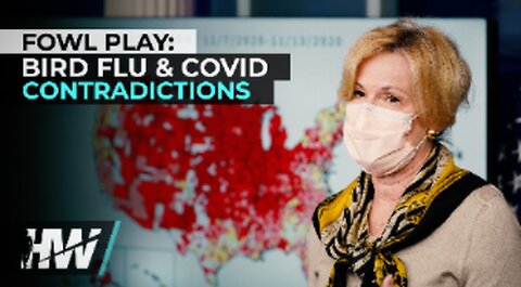 FOWL PLAY: BIRD FLU & COVID CONTRADICTIONS