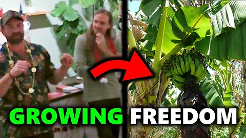 Creating Freedom & ABUNDANCE In Central West Florida USA - Bigfoot Food Forest