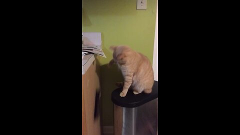 Pay attention to me!