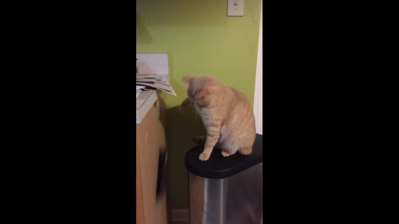 Pay attention to me!