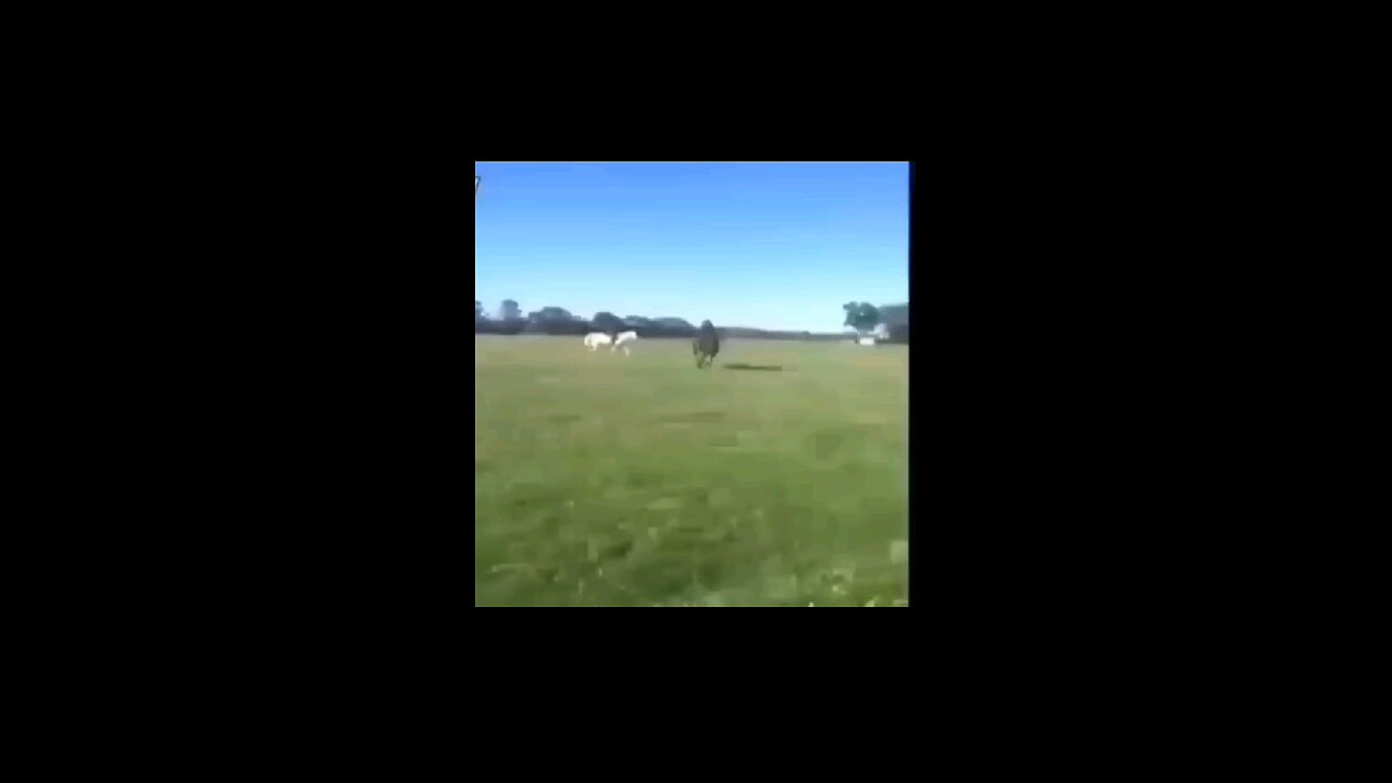 🤷🤦