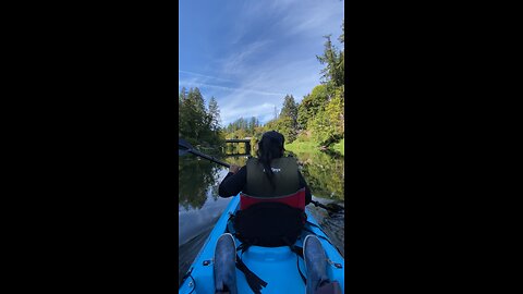 Kayaking Tualatin River
