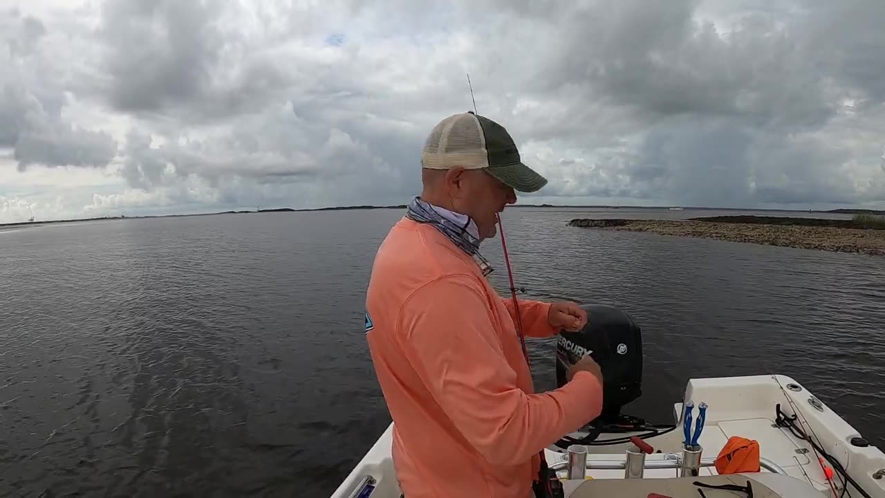 Catching Sharks on the Jetty