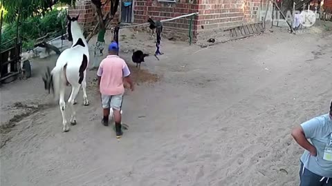 Funny animal 🎶🤞😊