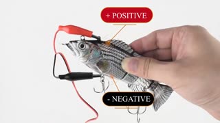 Electric Auto Robotic Fishing Tackle Luya Swimming Lure