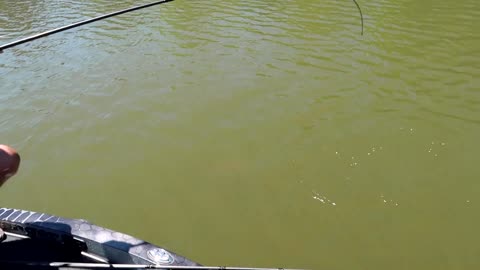 🎣 RECORD DAY OF BASS FISHING (UNBELIEVABLE CATCHES) | Epic Fishing Adventure! 🐟🔥