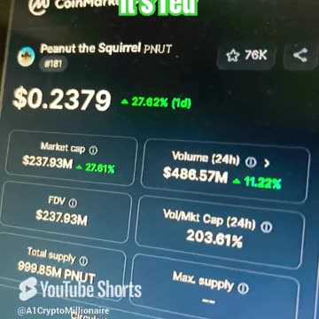 peanut the squirrel pnut crypto coin price prediction #fyp
