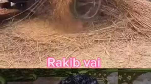 বাঙালি জাতি বলে কথা।