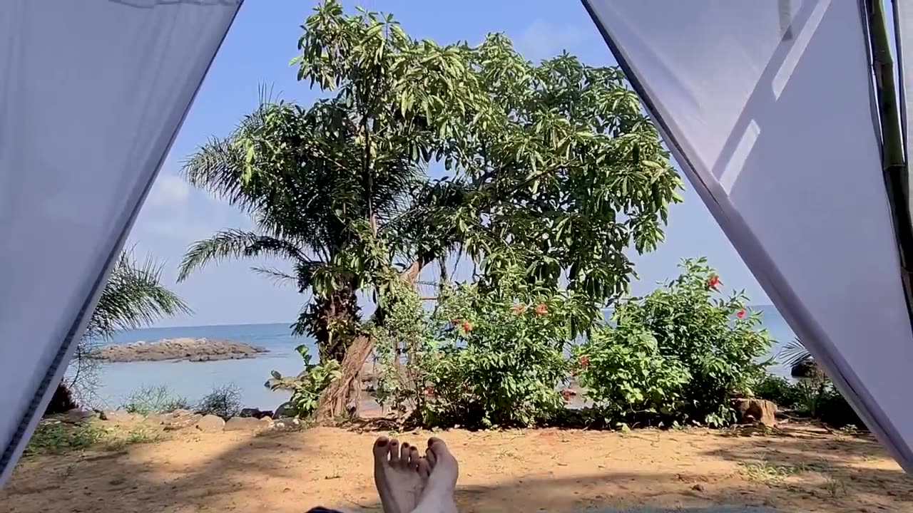 Overland from the Sahara to the Tropics