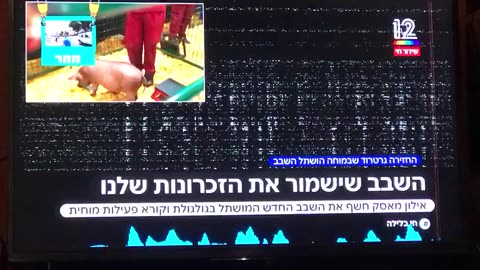 אילון מאסק-שבב במוח שקורא פעילות מוחית