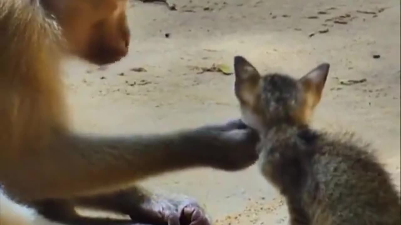 Love and kindness.. 😊