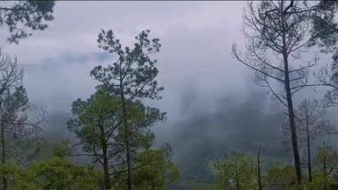 Nainital hills