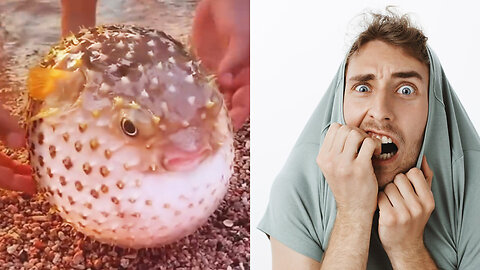 Look, he's gonna burst!