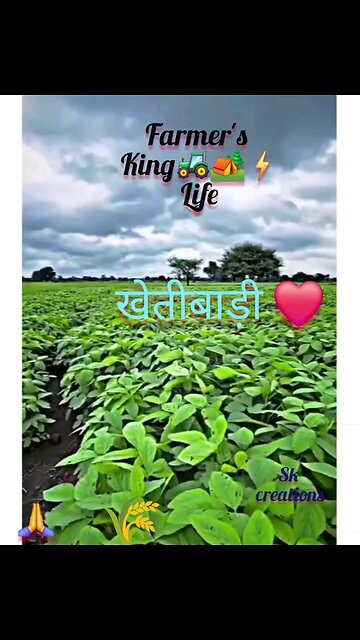 New haryanvi song ringtone 2025|| #viralvideo || खेतीबाड़ी #kisankheti #trending #jamidar | 2025 ||