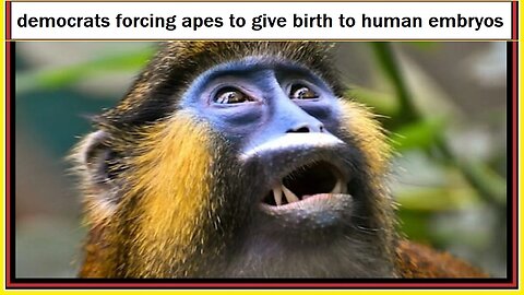 democrats forcing apes to give birth to human embryos