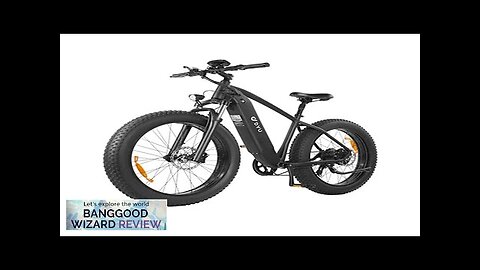 US Direct DYU King 750 Electric Bike 48V 20Ah Battery 750W Motor Review