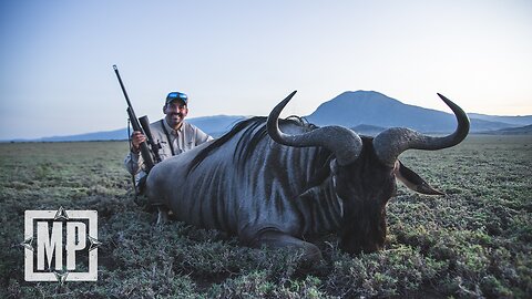 Hunting White-Bearded Wildebeest - Tanzania | Mark V. Peterson Hunting