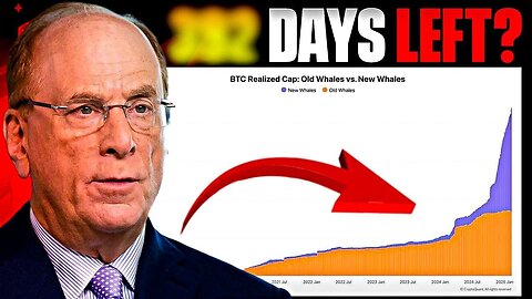 PREPARE NOW: The Whales Are Buying ALL The Bitcoin: You have X Days Left?