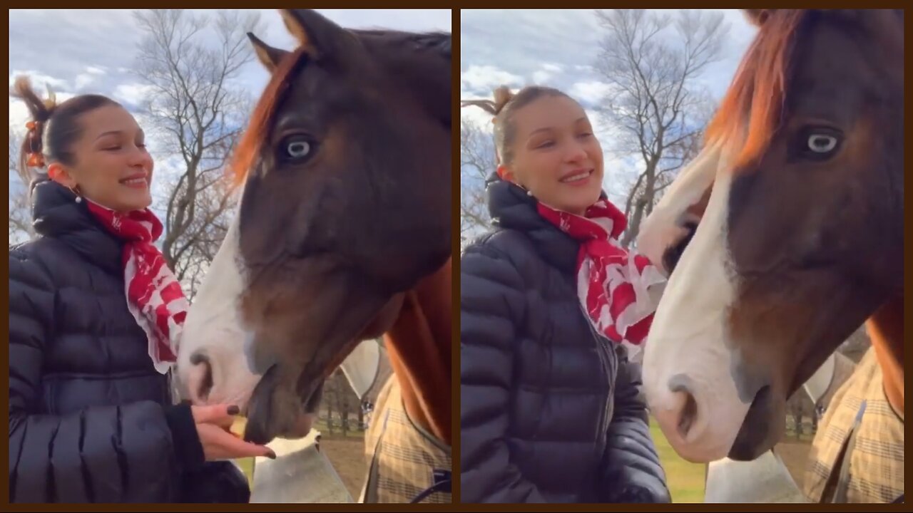 Bella Hadid’s Relaxing Escape: Horse Therapy & Simple Joys