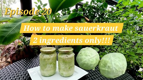 🥬 How to Make Homemade Sauerkraut | Easy 2-Ingredient Recipe | Probiotic-Rich Sauerkraut 🥬