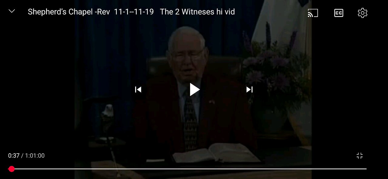 The Two Witnesse, Revelation 11
